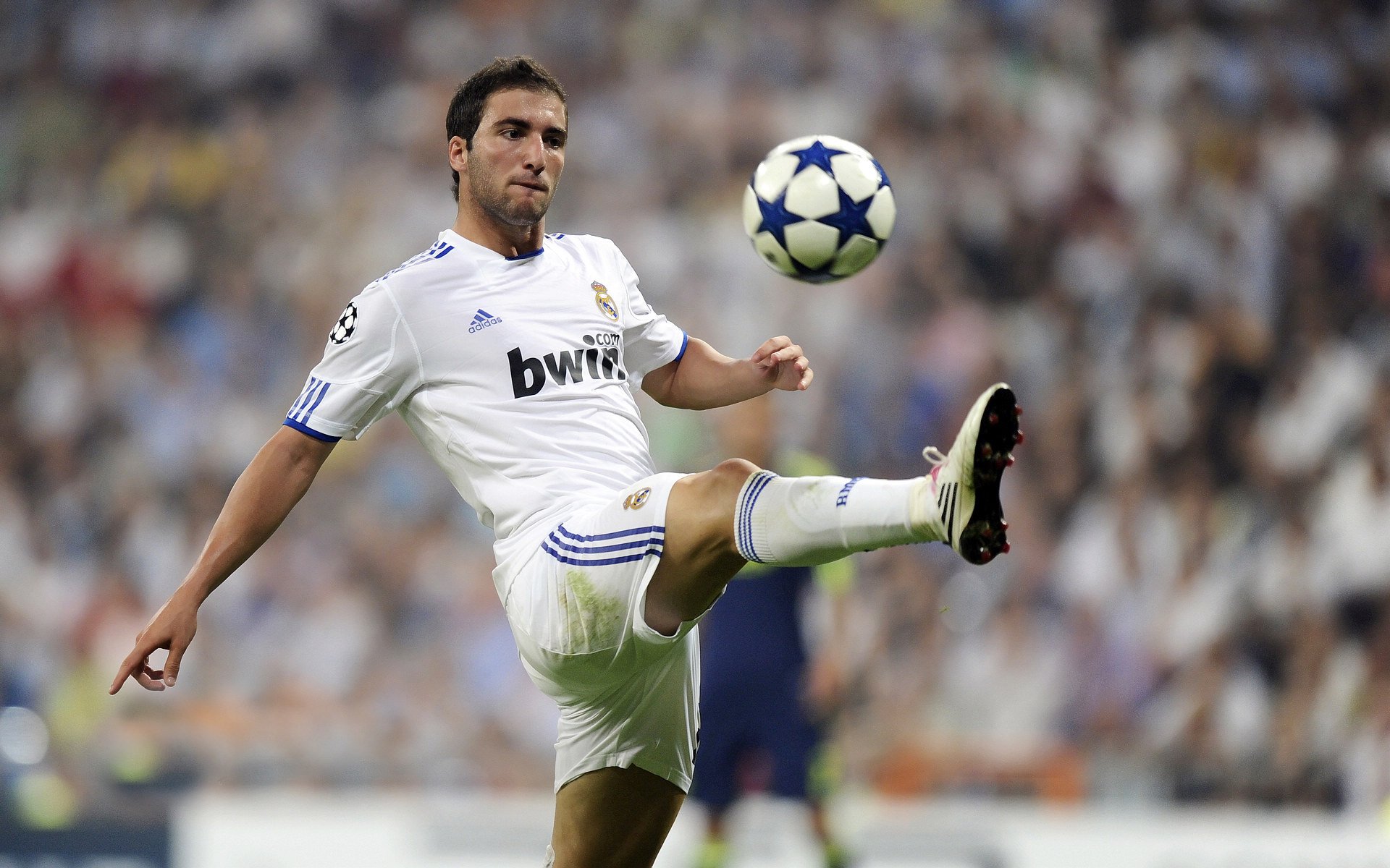 有梦就有希望！欧洲国家队用实力屹立胜者宝座，欧洲国家队名单